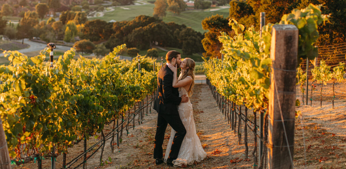 Why Winery Weddings are Simply Divine